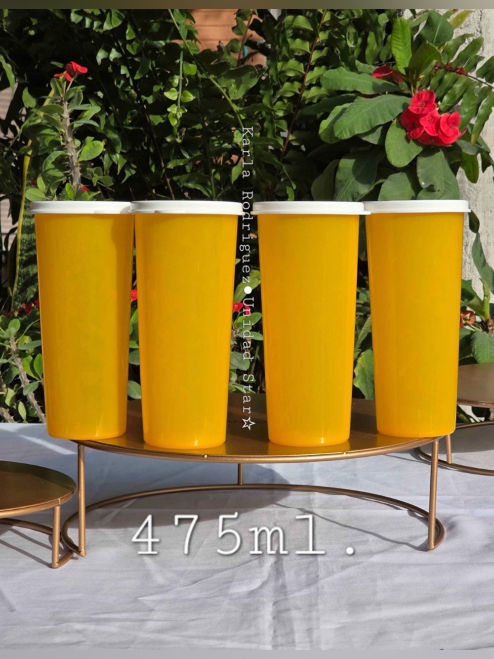 Tupperware Set Tumblers  NEW
